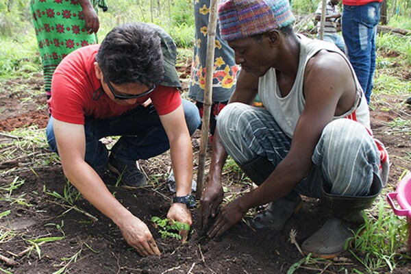Un habitant de Tanzanie et un membre du personnel de Yamaha qui plantent des pousses de grenadille ensemble.