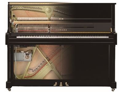 Piano hybride TransAcoustic TA2
