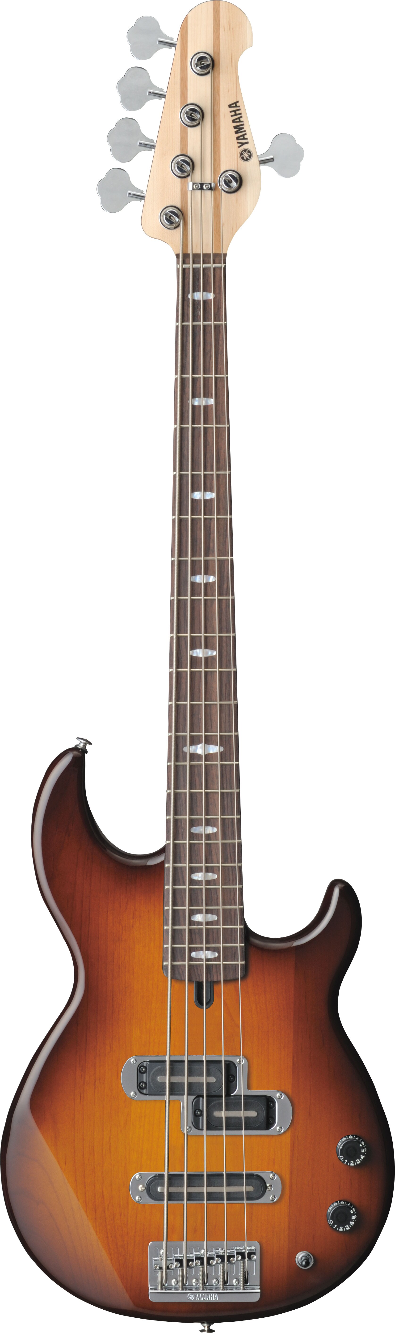 BB - Présentation - Guitare basses électriques - Produits