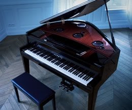 Jouez du piano en toute liberté : .
transformez maintenant la pratique instrumentale, en un plaisir ultime