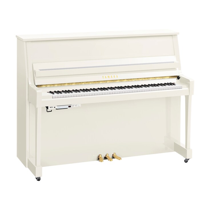 Image produit du B20TC3 (Blanc verni)