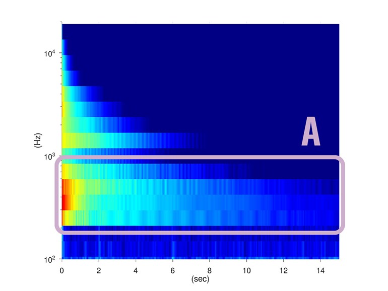 Caractéristiques acoustiques lors de l'utilisation de rondelles SECW. Augmentation du volume et du sustain dans les basses fréquences