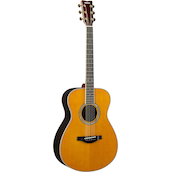 LS-TA Vintage Tint Left Front