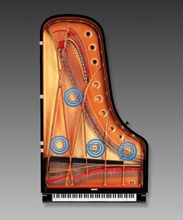 N1 - Présentation - AvantGrand - Produits - Pianos - Instruments