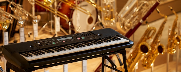 Visuel principal du HD-300