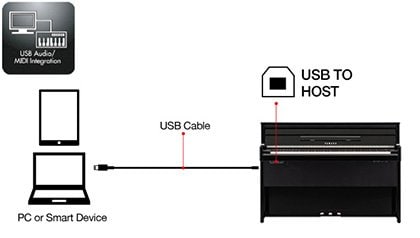 Connexion USB to Host