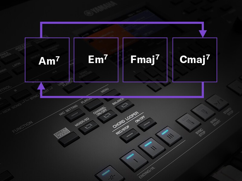 Illustration de la fonction Chord Looper répétant en boucle une séquence d'accords sur un PSR-SX620.