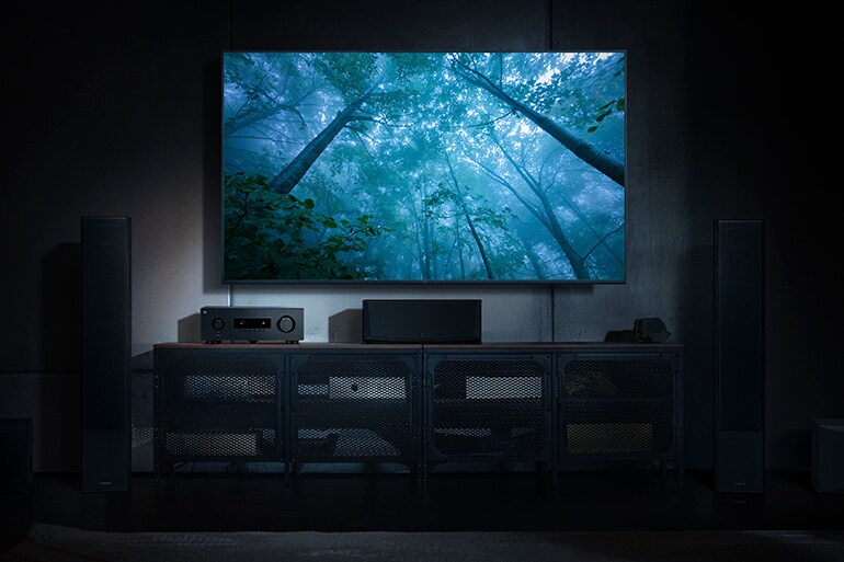 Le RX300A et un téléviseur affichant une forêt mystique.