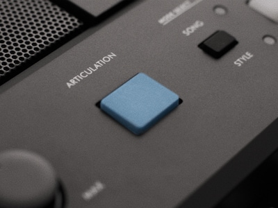 PSR-E483 - Image de présentation du bouton ARTICULATION