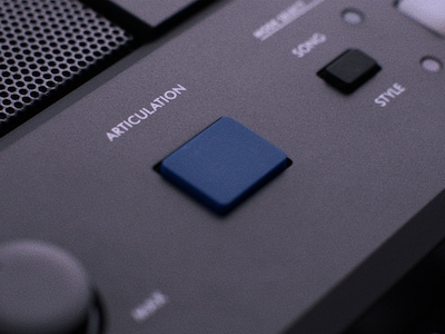 PSR-E583 - Image de présentation du bouton ARTICULATION