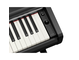 YDP-146_Noir_clavier_droit