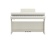 YDP-166_Bouleau blanc_face