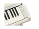 YDP-166_Bouleau blanc_clavier_droit