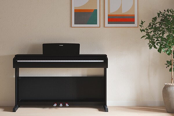 Un piano ARIUS qui s'intègre harmonieusement dans les salons