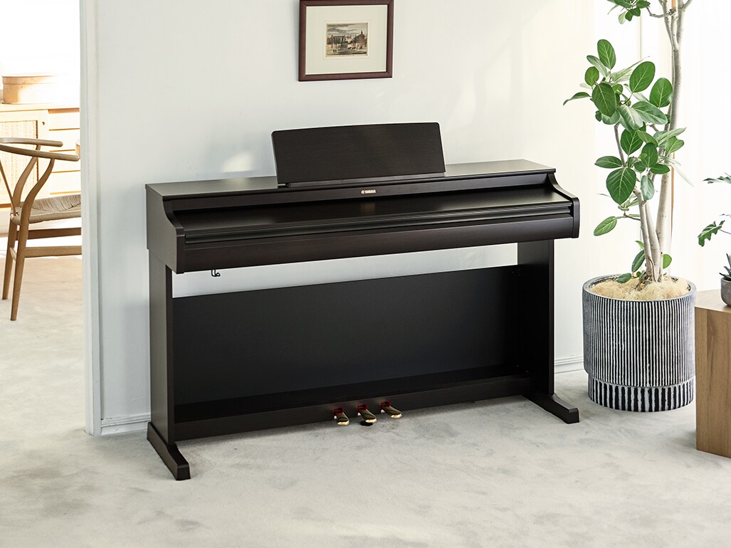 Le design compact et raffiné des pianos numériques ARIUS s'intègre naturellement dans les salons.