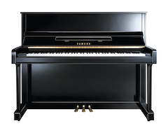Un réseau de distributeurs agréés "Piano Yamaha" proches de chez vous, assurant le meilleur des services :