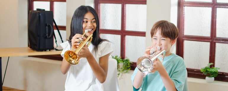 Présentation visuelle principale des cornets YCR-4330II Bb